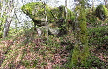 RESERVE DES DAUGES-haute-vienne