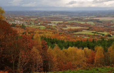 BERSAC - PIERRE DU LOUP-haute-vienne