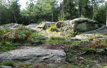 BERSAC - PIERRE DU LOUP-haute-vienne