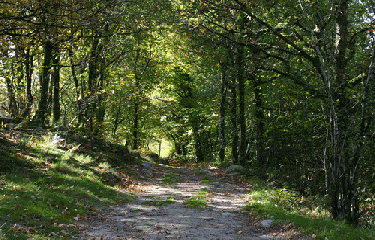 GRANDMONT-haute-vienne