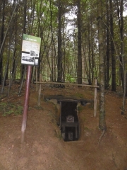 CUSSAC - LA FORET DE BOUBON-haute-vienne