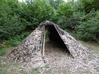 CUSSAC - LA FORET DE BOUBON-haute-vienne