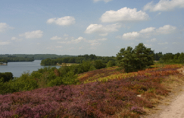 AUTOUR DU LAC DE  PARDOUX-haute-vienne