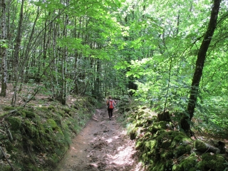 MONTROL SENARD-haute-vienne