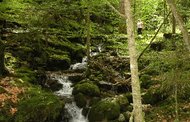 LE BALCON DU SOLEM-vosges
