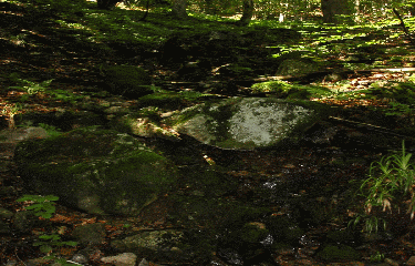 LE BALCON DU SOLEM-vosges