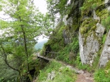 SENTIER DES ROCHES-vosges