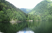 LAC D ALFELD - LAC DES PERCHES-vosges