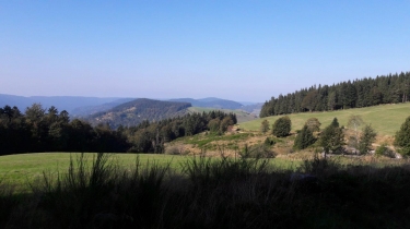 LAC DES CORBEAUX-vosges
