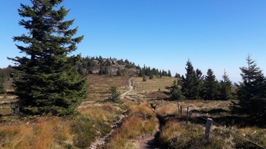 LE LAC VERT AU DEPART DU COL DE LA SCHLUCHT-vosges