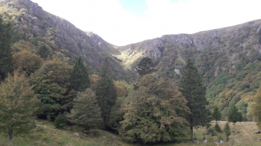 LE COLLET - LE HOHNECK - GASHNEY - COL DE LA SCHLUCHT-vosges