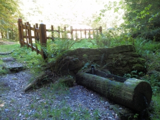 SENTIER DES VIELLES ABBAYES-vosges