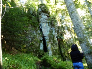 SENTIER DES VIELLES ABBAYES-vosges