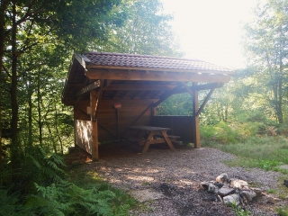 HAUTES VOSGES - FORET DE LA BRESSE ET ROCHESSON-vosges