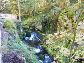 CHEMIN DE L EMPEREUR-vosges