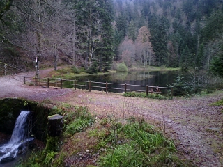 SECHEMER - COL DE LA VIERGE - CROIX LOUIS - LE BRABANT- DEPUIS LA BRESSE-vosges