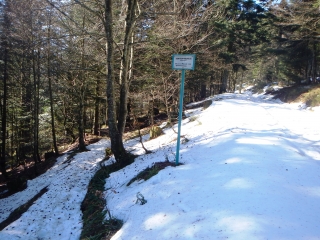 AUTOUR DE LA BRESSE-vosges