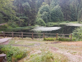 LA BRESSE  - PONT DE BRAMONT - LA ROCHE DU LAC-vosges