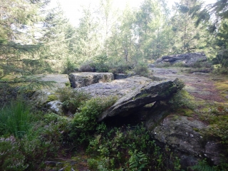 DE PLANOIS AUX ROCHES SAINT JACQUES-vosges