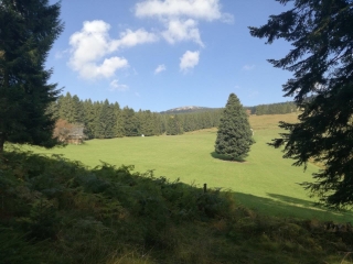 GAZON DU FAING - LAC DES TRUITES-vosges