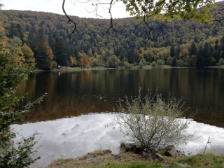 COL DE BRAMONT - RAINKOPF - LAC DE BLANCHEMER - TOURBIERES DE MACHAIS-vosges
