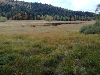 COL DE BRAMONT - RAINKOPF - LAC DE BLANCHEMER - TOURBIERES DE MACHAIS-vosges