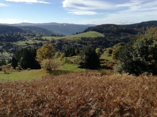 TOUR DES PLATEAUX-vosges