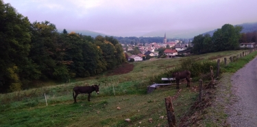 UNE JOURNEE SUR LES HAUTEURS DE VECOUX-vosges