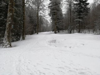 COL DU BRABANT - LAC DES CORBEAUX - COL DE LA VIERGE-vosges