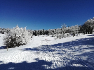 COL DE LA SCHLUCHT - AUBERGE DU GAZON DU FAING EN RAQUETTES-vosges
