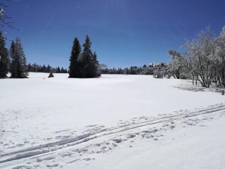 COL DE LA SCHLUCHT - AUBERGE DU GAZON DU FAING EN RAQUETTES-vosges