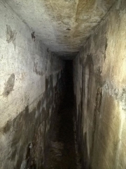 PRAYE - LA CORBEILLE (ENVIRON DU DONON)-vosges