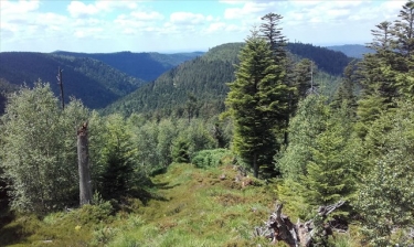 PRAYE - LA CORBEILLE (ENVIRON DU DONON)-vosges