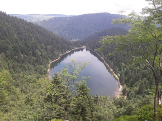 COL DU BRABANT - LA BRESSE - LE HAUT DES BLUCHES - LAC DES CORBEAUX-vosges
