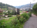 COL DU BRABANT - LA BRESSE - LE HAUT DES BLUCHES - LAC DES CORBEAUX-vosges