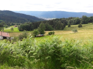 LE HAUT DU TOT - CASCADE DE LA PISSOIRE - MOYEMONT-vosges