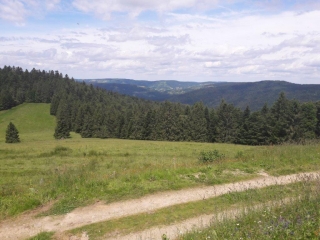 COL DU BRABANT - COL DE LA VIERGE - GRAND VENTRON-vosges