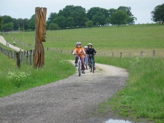 SENTIER DU MENU BOIS-vosges