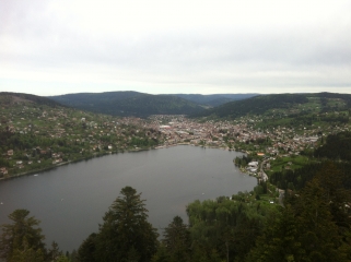 TETE DE MERELLE-vosges