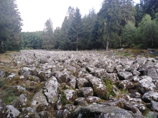 LE CHAMP DE ROCHES - BARBEY-SEROUX -vosges