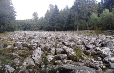 LE CHAMP DE ROCHES - BARBEY-SEROUX -vosges