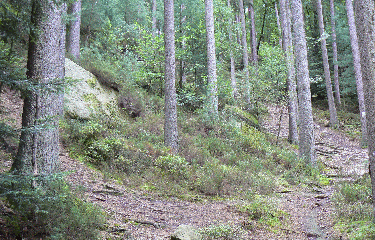 FONTAINE DES TROIS SOLDATS-vosges