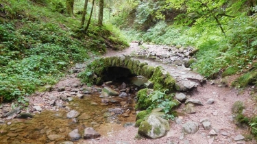 LE SAUT DE LA BOURRIQUE-vosges