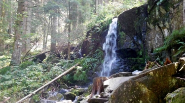 LE SAUT DE LA BOURRIQUE-vosges