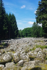 LA TETE DE NAYEMONT ET LE CHAMP DE ROCHES-vosges