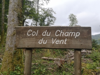 DE THIEFOSSE A LA BRESSE-vosges