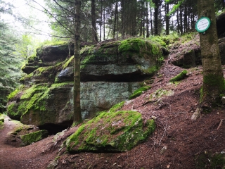 SENTIER JEAN BOLOT A RAON L ETAPE-vosges