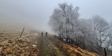 BUSSANG - DRUMONT ET RETOUR PAR GUSTIBERG-vosges