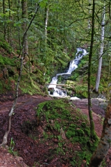 CASCADE CHARLEMAGNE-vosges