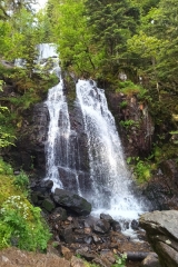 CASCADES DE TENDON - BOIS DE LA BROSTILLE-vosges